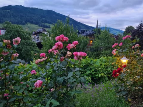 Garden, Garden, Garden view, Garden view