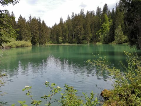 Via stenna Wohnung in Canton of Grisons