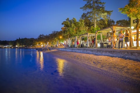 People, Beach, group of guests