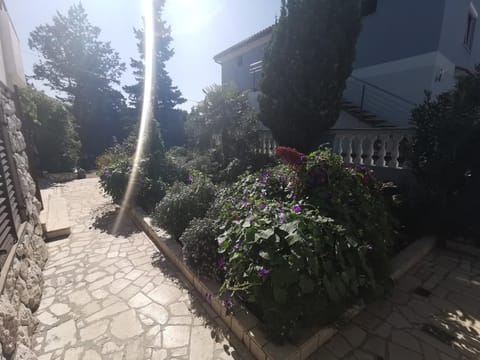 Patio, Garden