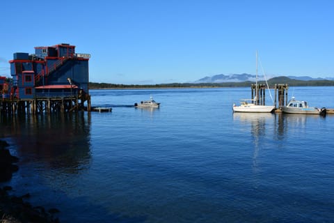 Island Village Properties at Fred Tibbs Apartment in Tofino