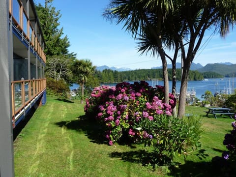 Facade/entrance, Garden, View (from property/room)