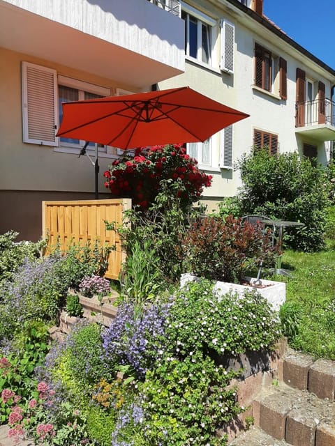 Patio, Garden