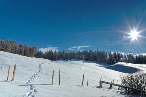 Natural landscape, Natural landscape, Winter, Mountain view