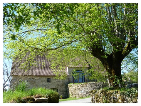 A L'Ombre du Tilleul Bed and Breakfast in Occitanie