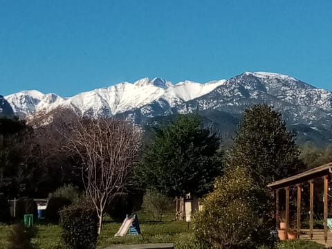 Garden, Mountain view