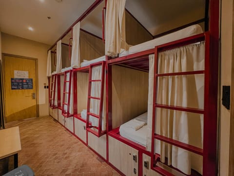 Bed, Photo of the whole room, Bedroom, bunk bed