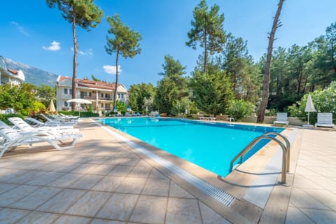 Property building, Garden, Swimming pool, Swimming pool