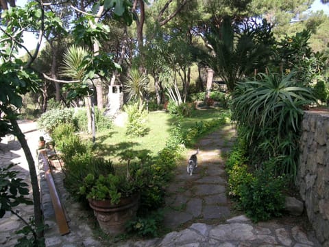 Garden, Garden view