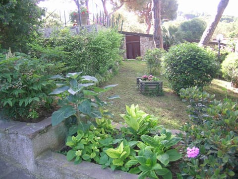 Garden, Garden view