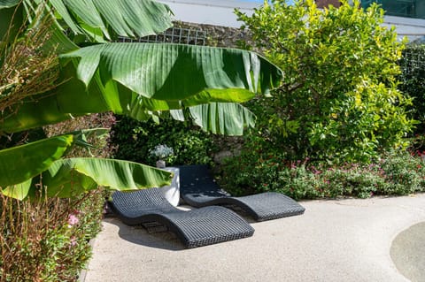 Garden, Swimming pool, sunbed