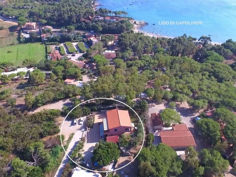 Neighbourhood, Bird's eye view