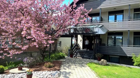 Facade/entrance, Spring