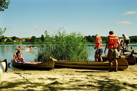 People, group of guests