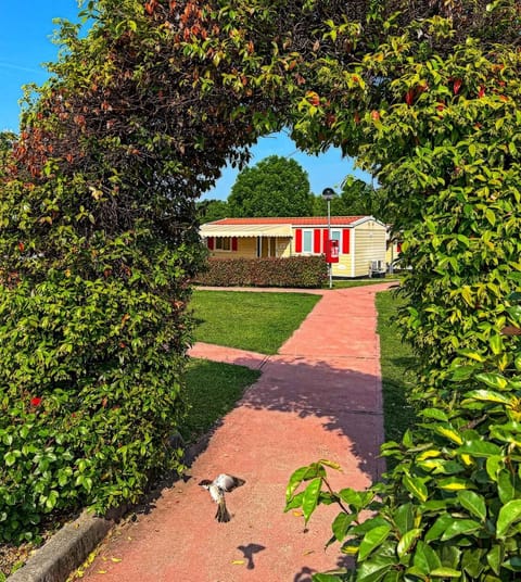 Property building, Summer
