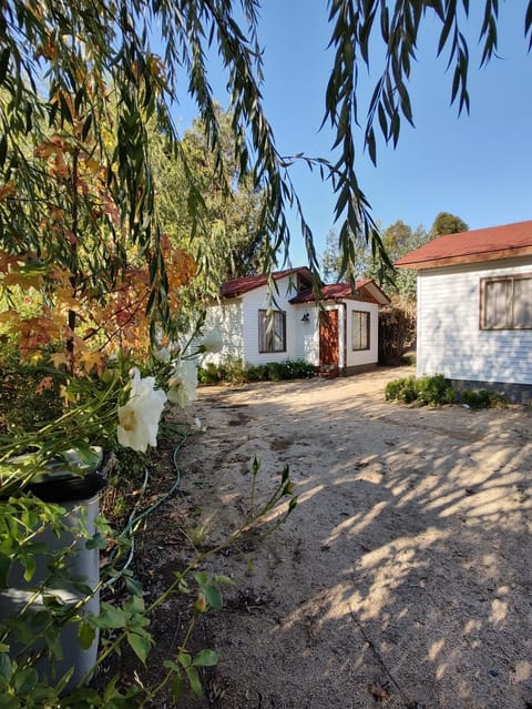 Property building, Facade/entrance, Garden