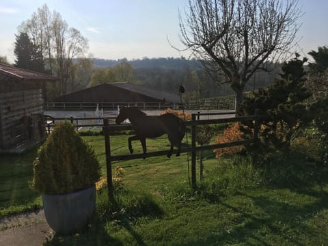 Horse-riding, Garden view