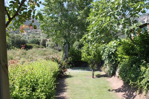 Garden, Garden view