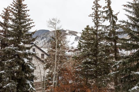 9 Vail Road Vail Village 1 to 4 Bedrooms by Vail Realty Condominio in Vail