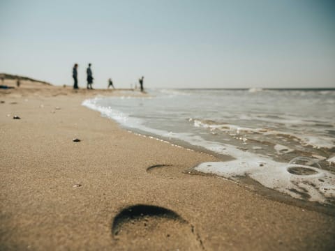 Natural landscape, Beach