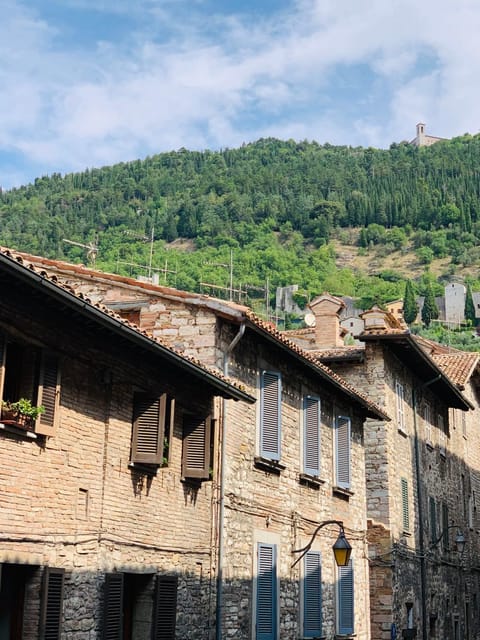 Neighbourhood, City view, Mountain view, Street view