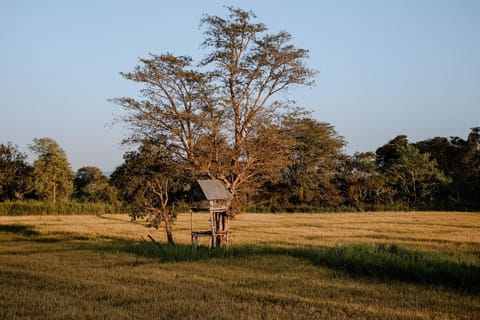 Roy's Villa Bed and Breakfast in Dambulla