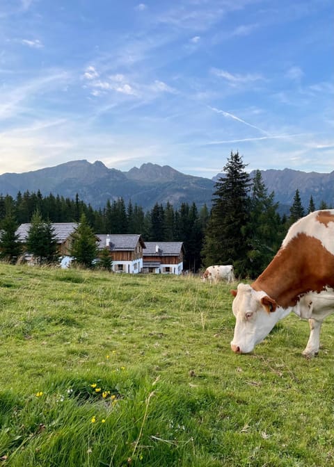 Almdorf Omlach, Fanningberg Chalet in Salzburgerland