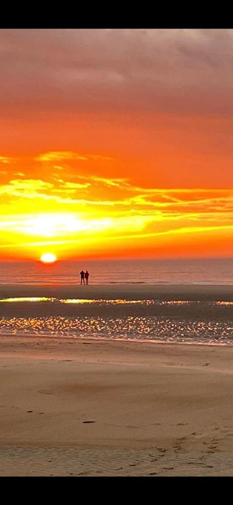 Zee Vakantievilla Begijnhof 5 De Haan Villa in De Haan