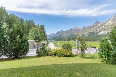 Natural landscape, Garden, Garden view, Lake view, Mountain view