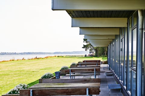 Garden, Balcony/Terrace