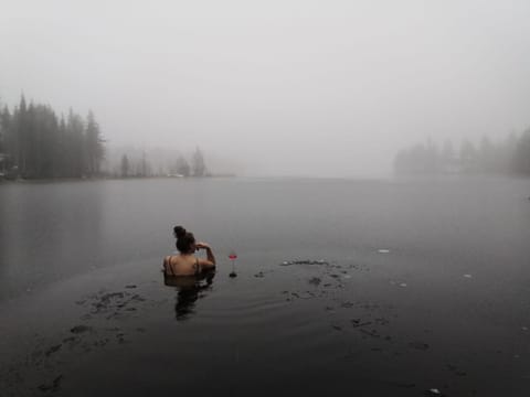 Guests, Lake view