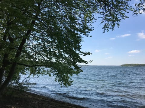 Raben Steinfeld Forststrasse Am Residence-Park Eigentumswohnung in Schwerin