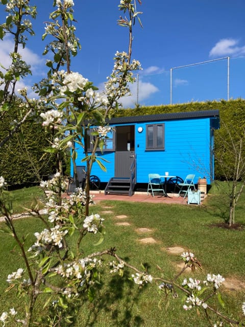 Property building, Garden view