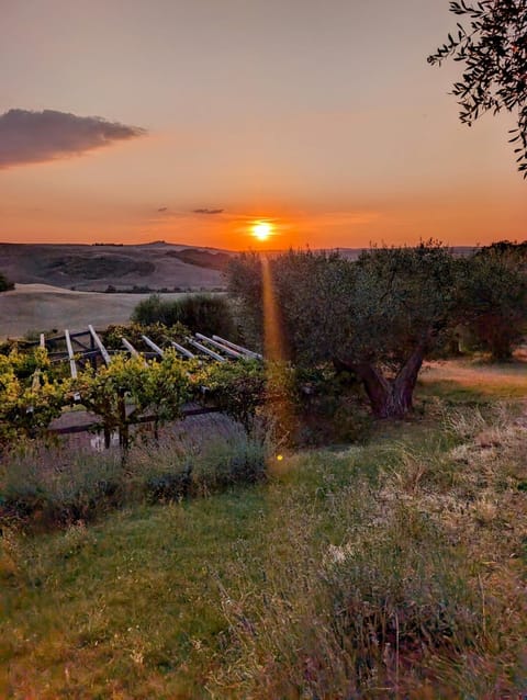 Garden, View (from property/room), Garden view, Landmark view, Sunset