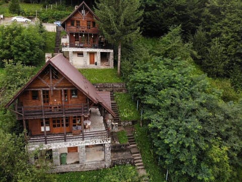 Florile Bucegilor House in Sinaia