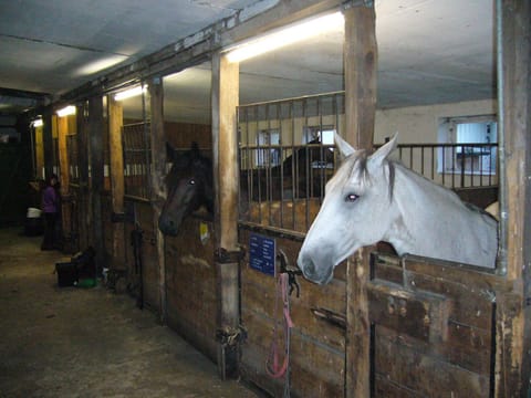 Ferienhof Drewes Ranch Haus in Soltau