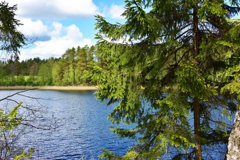 Natural landscape, Hiking, Lake view