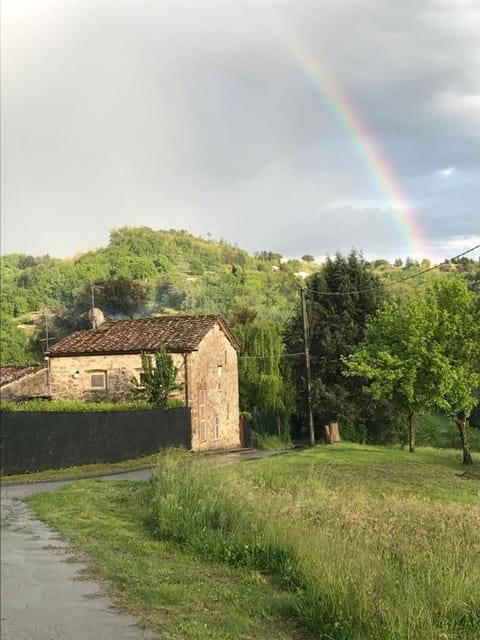 Casa Patrizia Villa in Lucca