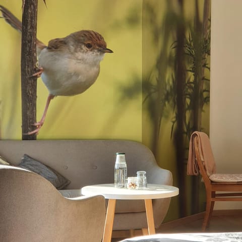 Seating area, Bedroom