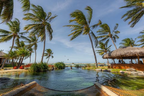 Natural landscape, Lake view, Pool view, Swimming pool, sunbed