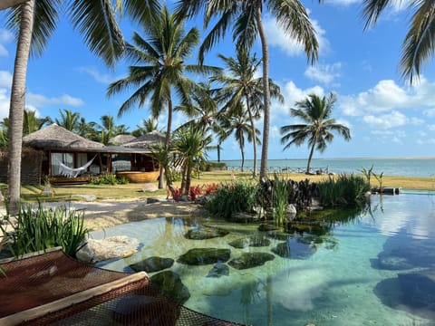 Natural landscape, Beach, Lake view, Swimming pool