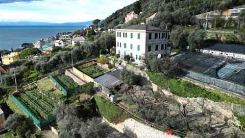 Natural landscape, Bird's eye view, Parking