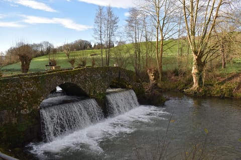 Natural landscape, River view