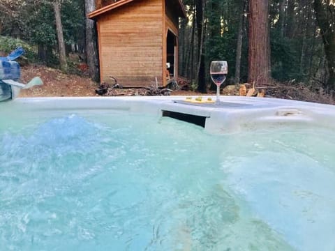 A Lovely Cabin House at Way Woods Retreat with Outdoor Hot Tub! - By Sacred Hub MGMT House in Sierra Nevada