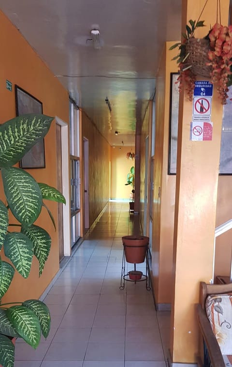 HOTEL DON JESUS (MORELOS) Hotel capsule in Aguascalientes