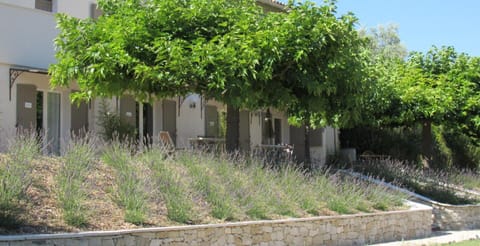 Property building, Patio, Garden