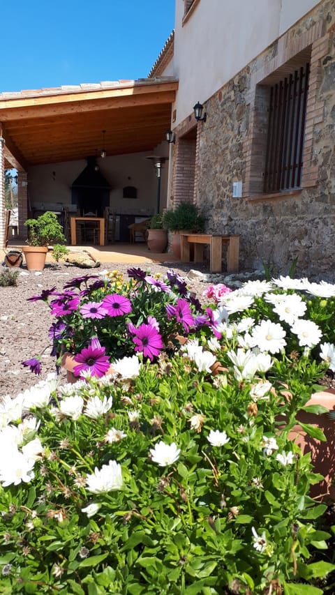 Facade/entrance, Garden, Garden view