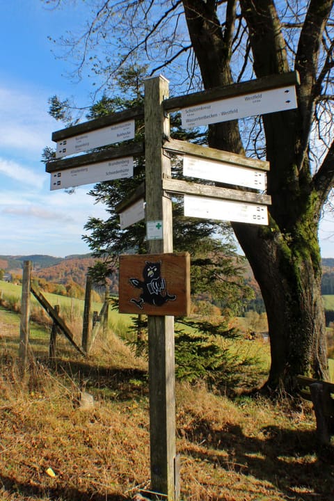 Neighbourhood, Natural landscape, Hiking, Hiking