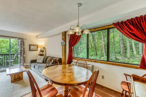Grand Hollow Townhome Condo in Waitsfield