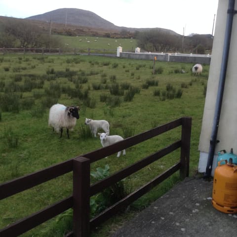 Sea View Chalet Kilsallagh Westport Co Mayo Apartment in County Mayo